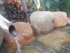 -厦门日月谷温泉渡假村