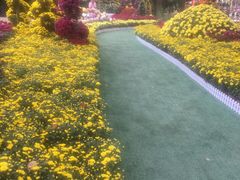 -上海市龙华烈士陵园