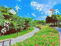 -深圳湾公园(南山区)