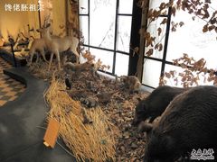 -俄罗斯阿穆尔州地质博物馆