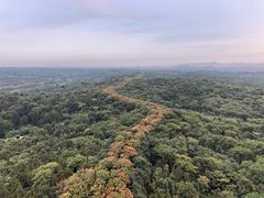 -宜兴龙背山森林公园