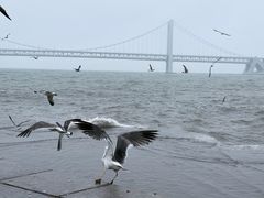 -星海广场