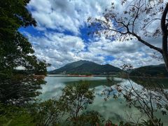 -广州市流溪河国家森林公园