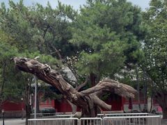 -大钟寺古钟博物馆