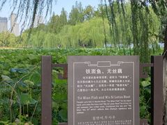 -包公祠
