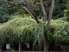 -成都杜甫草堂博物馆