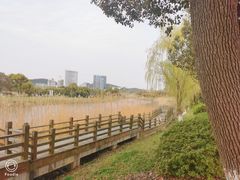 -太湖湖滨国家湿地公园-停车场