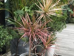-北马山庄植趣咖啡