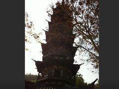 -上海佘山国家森林公园西佘山园