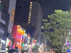 -宝健路步行街(Pedestrian Shopping Street)