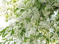 -沈阳辉山风景区