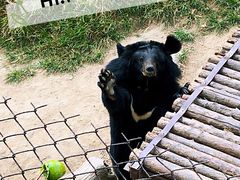 -青岛森林野生动物世界
