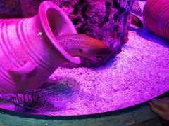 -沈阳海洋探索中心