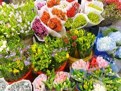 -双季花艺园艺市场(浦东店)