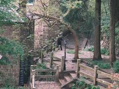 -莫干山风景区