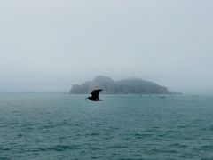 -海驴岛(荣成市)