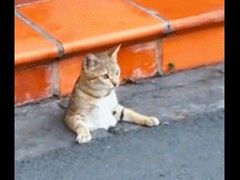 -卡路里的烤宴(浑南首创店)