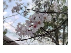 -东湖生态旅游风景区