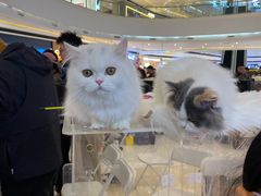 -成都银泰城