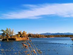 -野鸭湖国家湿地公园