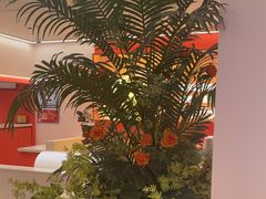 -摩欧客意式餐厅(高新活力汇店)