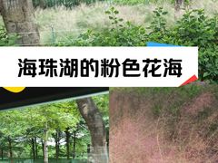 -海珠湖公园