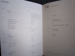 -新加坡航空公司(ION)