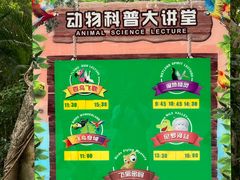 -广州长隆飞鸟乐园
