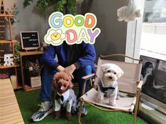 -百好乐宠物友好餐厅(朝外大街店)