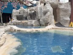 -中铁花水湾温泉酒店(大邑店)