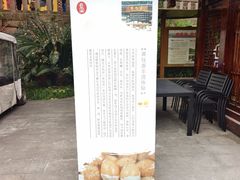 -五凤溪古镇