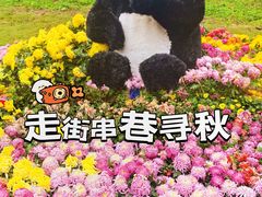 -南山植物园