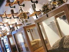 大堂-MUSEO COFFEE咖啡博物馆