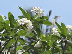 -富国岛翡翠湾 JW 万豪度假酒店