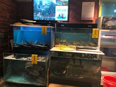 水产区-五稻厨房粤西菜(新闻店)