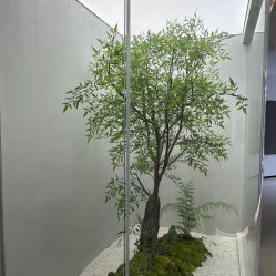 -奶牛叔叔儿童摄影生活馆(太仓店)