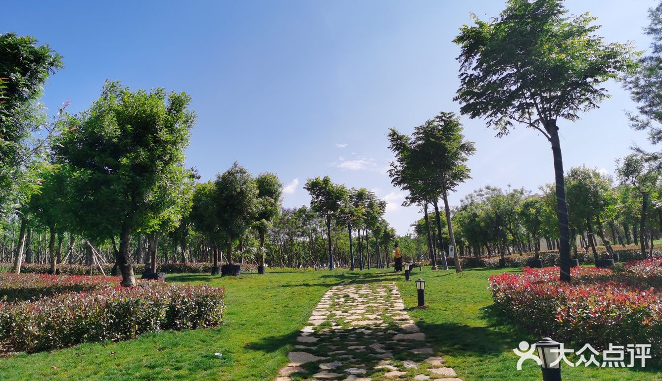 我们是把车停在山语桃源售楼部门口，然后环湖一圈