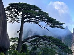 -黄山风景区