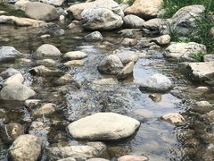景观位-快活林烧烤(红新路店)