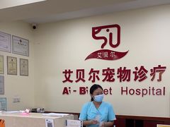 -艾贝尔宠物诊疗