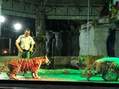 -清迈夜间动物园