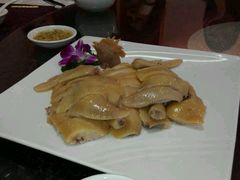 android_upload_pic-品鱼庄酒家(新世界大酒店店)