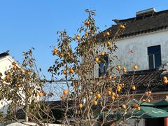 -莲花岛景区