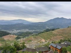 -紫鹊界梯田景区