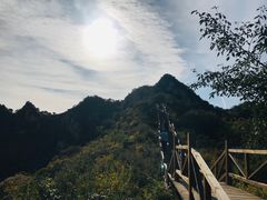-大岭沟猕猴桃谷风景区