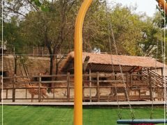 -北京鹿世界主题园