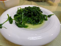 清炒豆尖-峨嵋酒家总店(车公庄店)