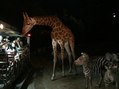 -清迈夜间动物园