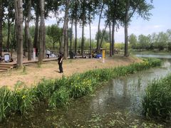 -东郊湿地公园