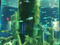 -福州罗源湾海洋世界旅游区